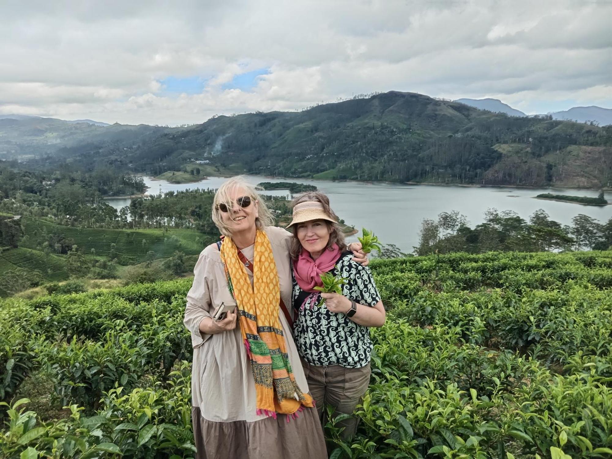 Princess Of Dickoya Homestay Hatton Bagian luar foto