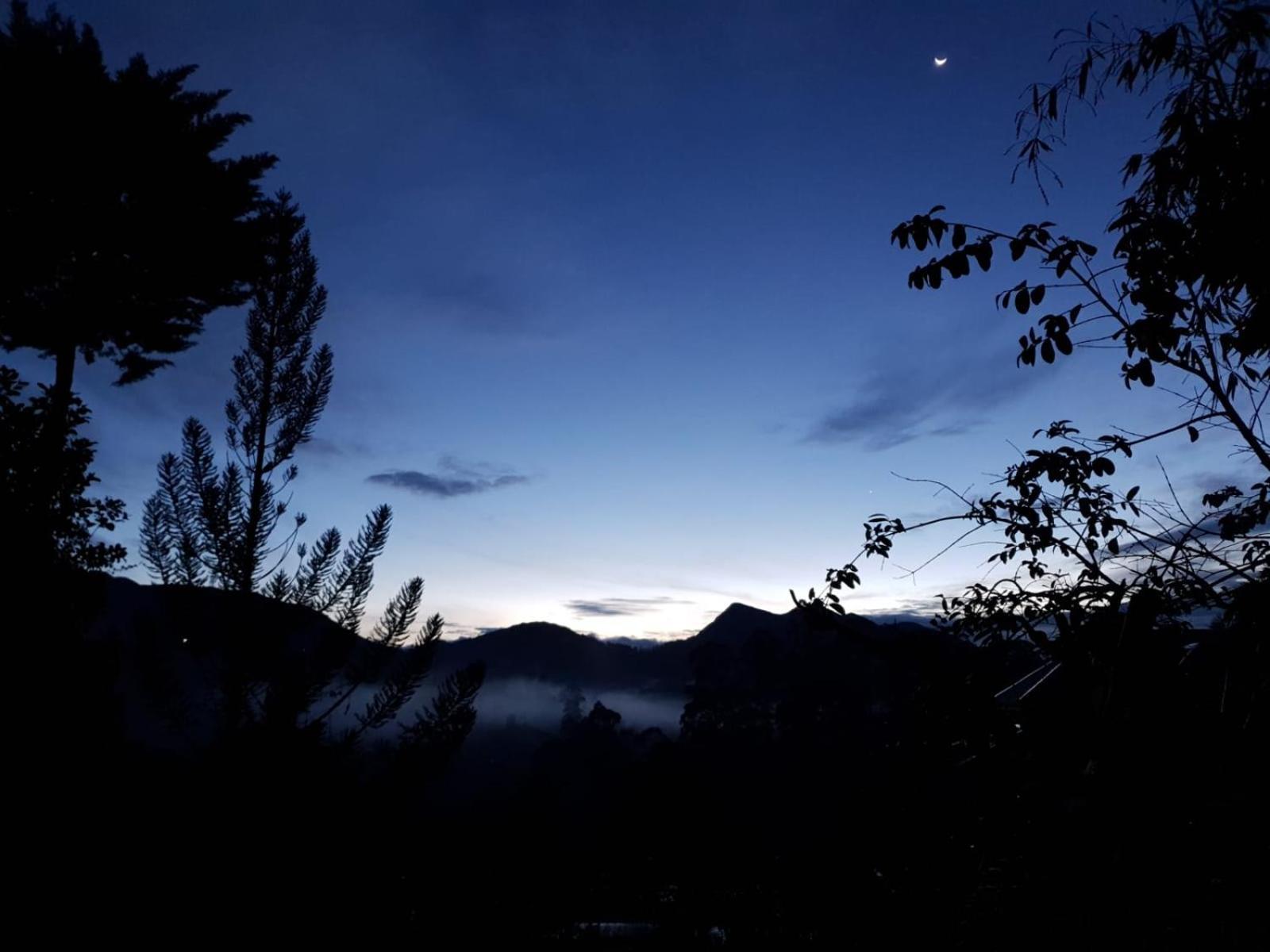 Princess Of Dickoya Homestay Hatton Ruang foto